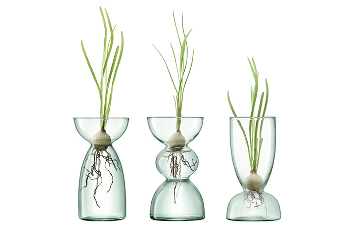 Canopy Trio Vase Set H13cm Clear 바로배송가능